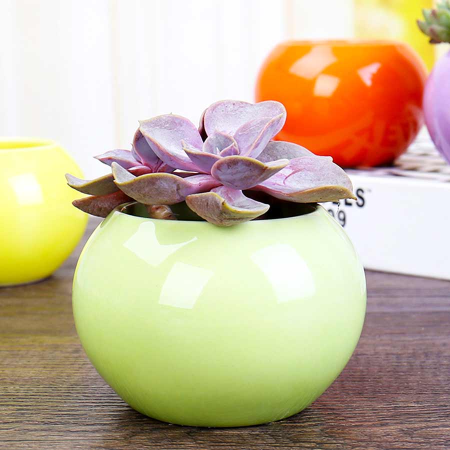 Modern round ceramic circle colorful flower plant pot – ShahebBiBi.com